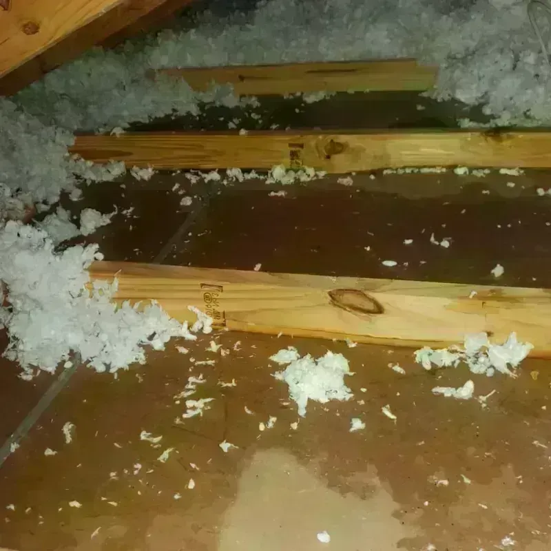 Attic Water Damage in Bella Vista, CA