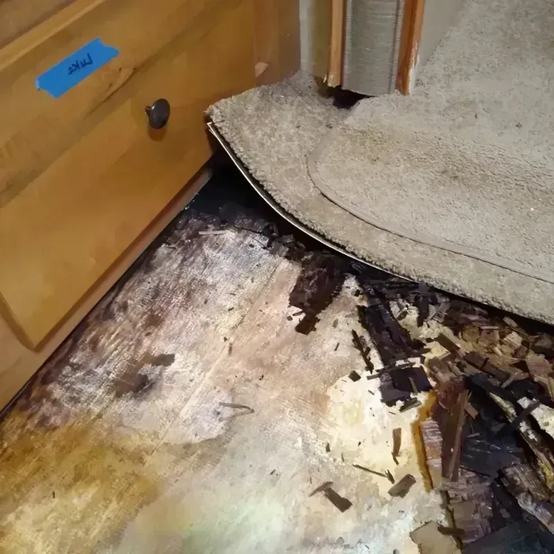 Wood Floor Water Damage in Bella Vista, CA